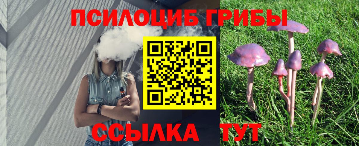 Псилоцибиновые грибы GOLDEN TEACHER Шахты